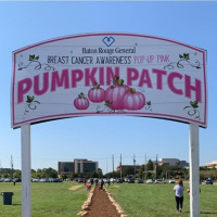 A special breast cancer pumpkin patch is happening today at BRG