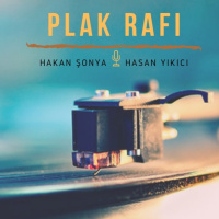 Bölüm 3 - Plak çalarlar ve plak bakımı