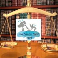 Código Civil: Nuestras mascotas ya no serán cosas