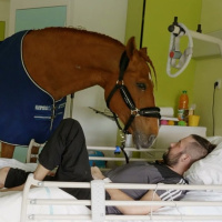 Equinoterapia: nuestros aliados los caballos