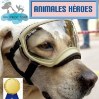 Animales héroes