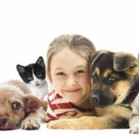 ¡Más mascotas que niños!