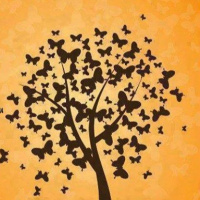 CUENTO: Los misteriosos sueños de mi gata