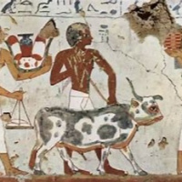 ¿Desde cuándo existen veterinarios?