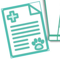 Entrevista a la veterinaria Ana Silva sobre la polémica del Presvet.