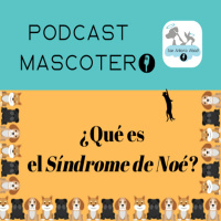 ¿Qué es el síndrome de Noé?