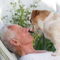 ¿Saben nuestras mascotas si estamos enfermos?