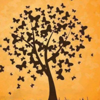 CUENTO: La cotorra que escuchaba música clásica.