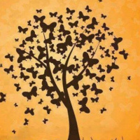 CUENTO: Buchi y la luciérnaga mágica