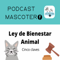 Ley de Bienestar Animal | Cinco Claves