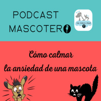 Cómo calmar la ansidedad de una mascota