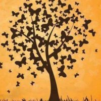 CUENTO: ¿Puede un gorrión vivir en casa?