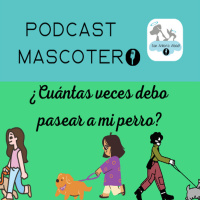 ¿Cuántas veces debo pasear a mi perro?