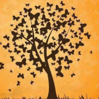 CUENTO: Alex, la tortuga glotona