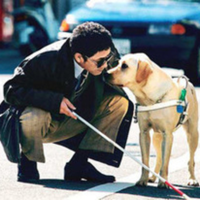 San Antonio Abad Radio - Mascotas