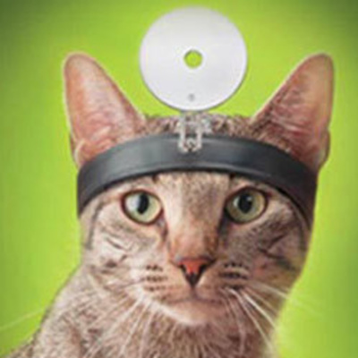 San Antonio Abad Radio - Mascotas