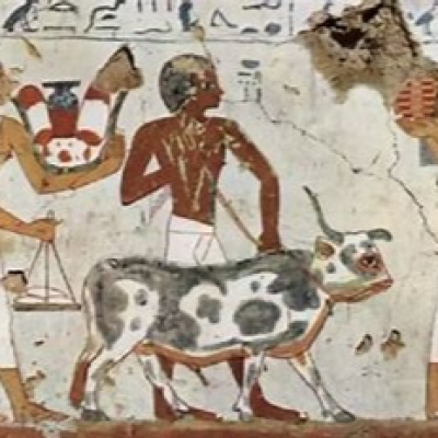 San Antonio Abad Radio - Mascotas