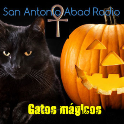 San Antonio Abad Radio - Mascotas