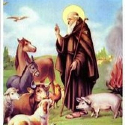 San Antonio Abad Radio - Mascotas