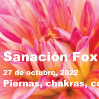 Sanación 27 Octubre 2022