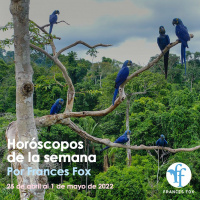 Horóscopos y mantras del 25 de abril al 1 de mayo de 2022