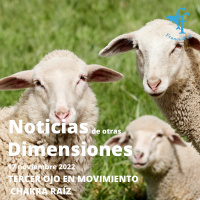 Chakra raíz, arraigo y tercer ojo!