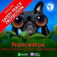 SAFETY PEACE PROTECTION