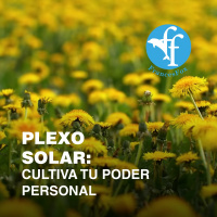 Música Mantrista – Plexo solar (Tu poder personal)