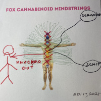 MTG Mind control-US energies- Alien strings-Jesus would be shocked - November 17th, 2025