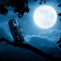 Horóscopos y mantras 13 al 19 de Junio 2022