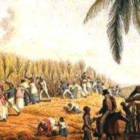 Ch 17: The Diversity of American Colonial Societies, 1530-16770