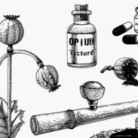 Chapter 23: Land Empires in the Age of Imperialism, 18’-1870