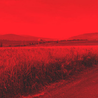 חמישה ספרים על חירות - עם ענת שרון בלייס