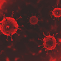 סוגרים חשבון עם תשפא: שלושה שיודעים