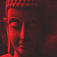 משתחררים: יש מה ללמוד מההודים