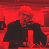 אל האור: הפנתרים השחורים של שמשון ויגודר