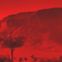 חוזרים למצרים: מוצאים את הר סניני עם שמחה יעקובוביץ