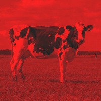 להתחיל מבראשית: שלושה שיודעים