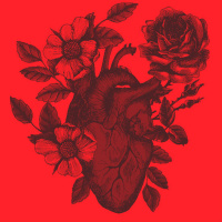 אין שלם מלב שבור