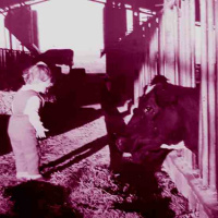 דרך קיבוץ גלויות: שלושה שיודעים