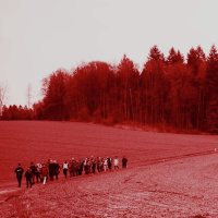 בדרך אל החופש