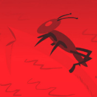 עשר מכות: ארבה עם שירי כץ ורונה גרשון