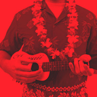 תופסים אמריקה: שכחו אותי באוקיינוס