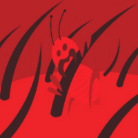 עשר מכות: כינים עם דודו ארז