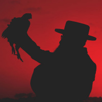 ספיישל אש זרה