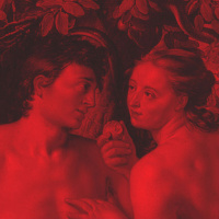 מה משמח אותך בתורה ?