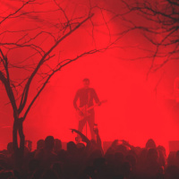 די עם הרעש הזה