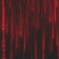 באג 2000: בחזרה למטריקס