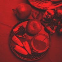 מתחילים מההתחלה: סרוויס