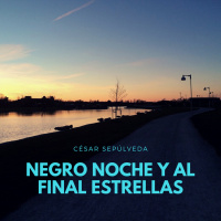 Audiolibro: Negro Noche y al Final Estrellas - César Sepúlveda